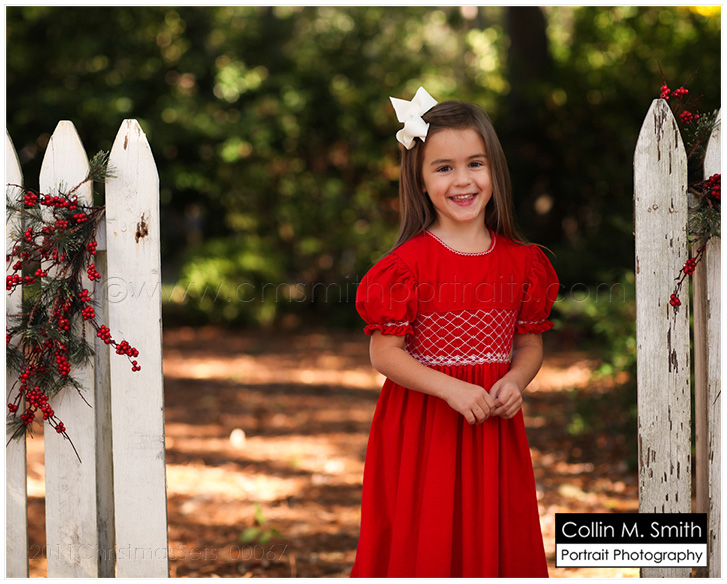 2011ChristmasSets_00067fb